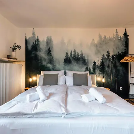 Lejlighed Bergblick & Altbau-charme I 2 Balkone I Aktivcard - 130 Erlebnisse Inklusive I Parkplatz Bodenmais